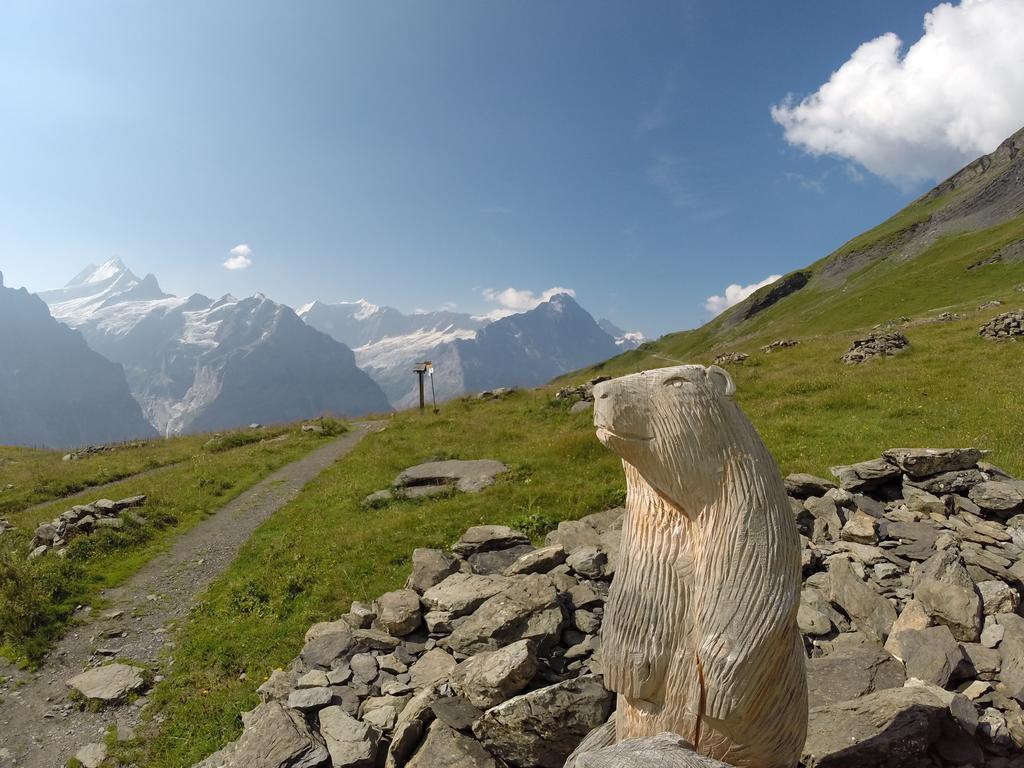 Appartement Almis Sunna à Grindelwald Extérieur photo